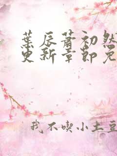 叶辰萧初然最新更新章节免费