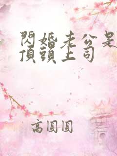 闪婚老公是我的顶头上司