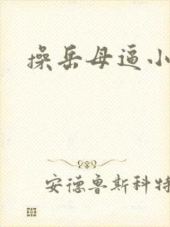 操岳母逼小说