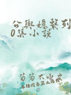 公与媳系列100集小说