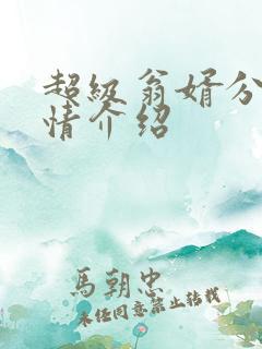 超级翁婿分集剧情介绍