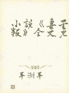 小说《妻子的背叛》全文免费阅读