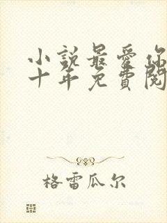 小说最爱你的那十年免费阅读全文