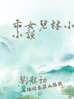 乖女儿林小喜 小说