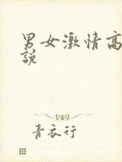 男女激情高h小说