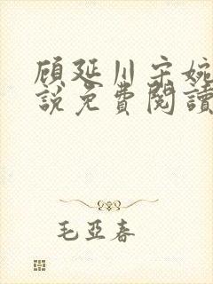 顾延川宋婉琳小说免费阅读全文