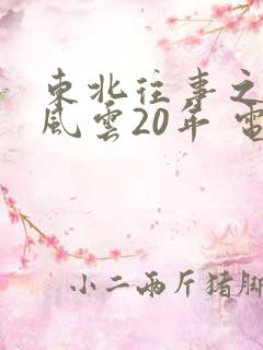 东北往事之黑道风云20年 电影下载