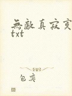 无敌真寂寞小说txt