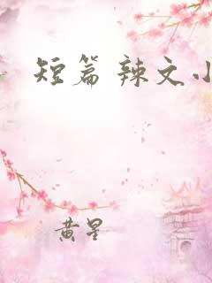 短篇 辣文小说