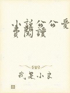 小说公公爱我免费阅读