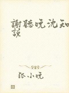 谢听晚沈知聿小说