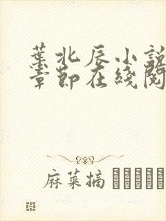 叶北辰小说最新章节在线阅读