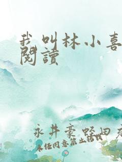 我叫林小喜在线阅读