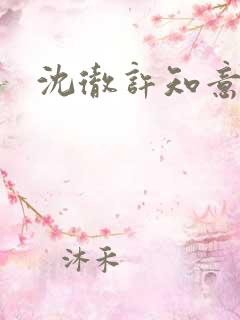 沈彻许知意