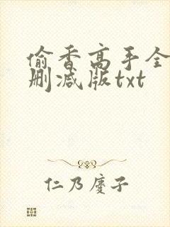 偷香高手全文无删减版txt