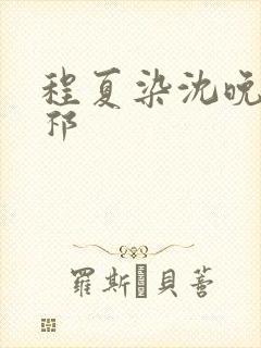 程夏染沈晚棠江祁