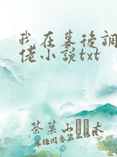我在幕后调教大佬小说txt