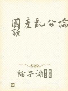国产乱公伦媳小说