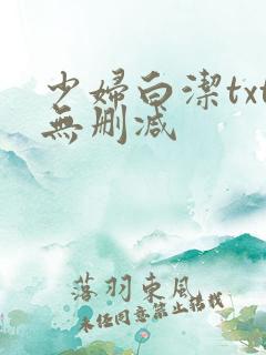 少妇白洁txt无删减