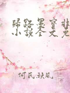 归路墨宝非宝 小说全文免费阅读