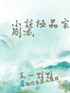 小说极品家丁无删减