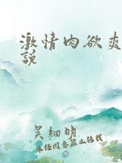 激情肉欲爽文小说