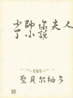 少帅你夫人又跑了小说