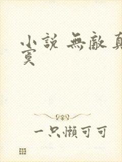小说 无敌真寂寞