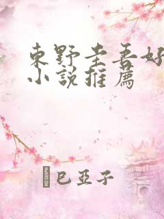 东野圭吾好看的小说推荐