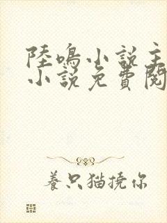 陆鸣小说主角的小说免费阅读全文