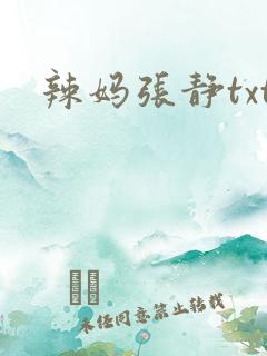 辣妈张静txt