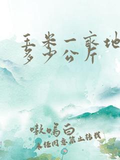 玉米一亩地能产多少公斤