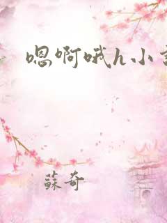 嗯啊哦h小说