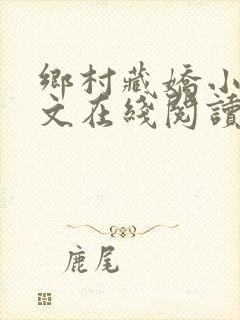 乡村藏娇小说全文在线阅读