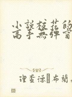 小说校花的贴身高手无弹窗全文免费阅读