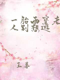一胎两宝老婆大人别想逃