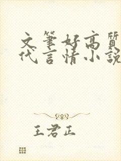 文笔好高质量现代言情小说