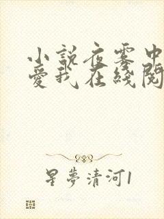 小说夜雾中无人爱我在线阅读