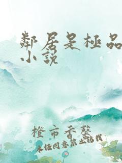 邻居是极品母女小说