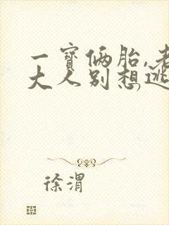 一宝俩胎,老婆大人别想逃