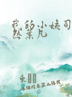 我的小姨司空嫣然叶凡