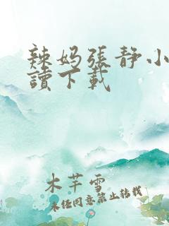 辣妈张静小说阅读下载
