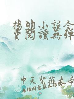 杨明小说全文免费阅读无弹窗