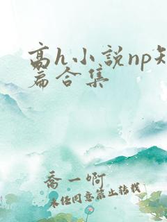 高h小说np短篇合集