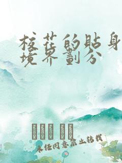 校花的贴身狂少境界划分