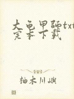 大龟甲师txt完本下载