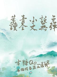 叶青小说免费阅读全文无弹窗