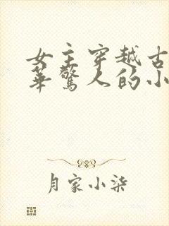 女主穿越古代才华惊人的小说