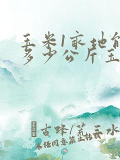 玉米1亩地能产多少公斤玉米