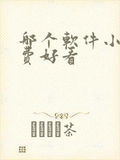 哪个软件小说免费好看